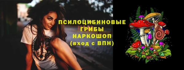 МДПВ Армянск