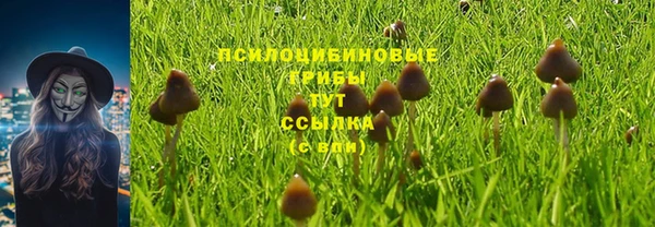 метамфетамин Аркадак