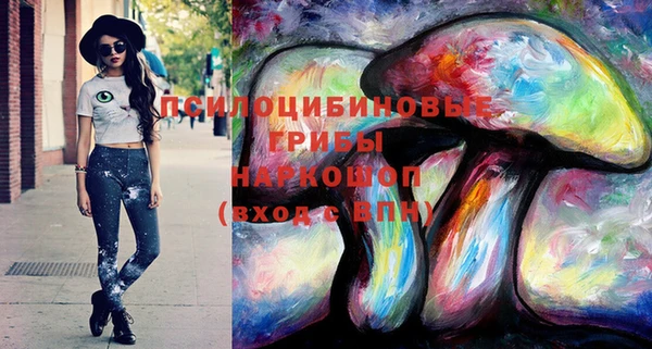 эйфоретик Арсеньев